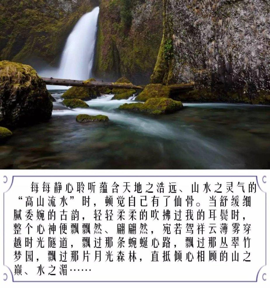 BLD1行星摆线减速器BLD1-11-2.2可配速比BLD1-11-